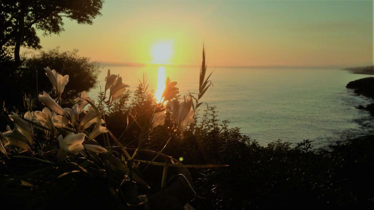 B&B Viadelmare Patù Εξωτερικό φωτογραφία