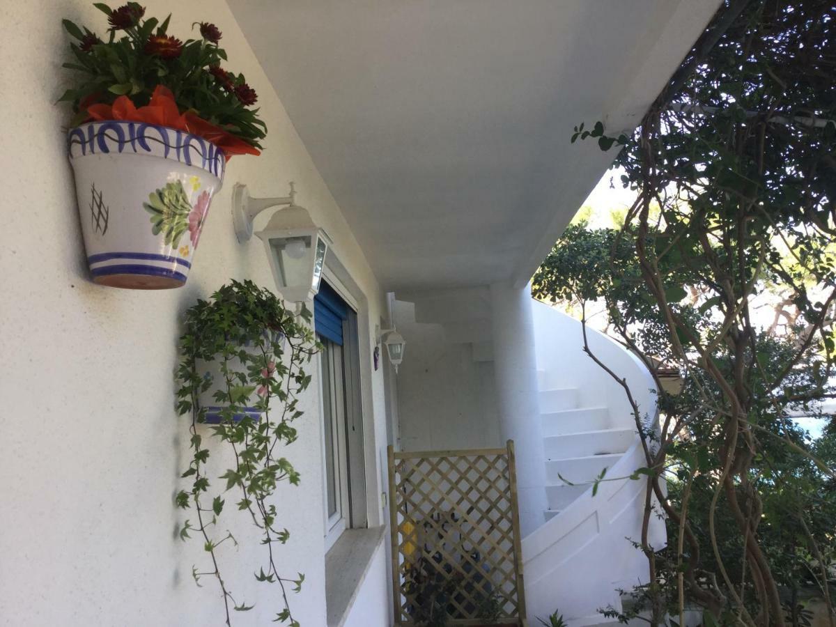 B&B Viadelmare Patù Εξωτερικό φωτογραφία